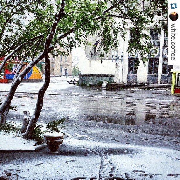 Отклик на Песню  "Снегопад в апреле" (злой шутник)