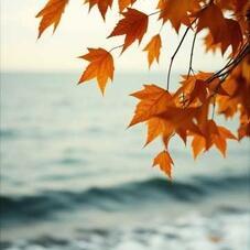 Осень в городе у моря