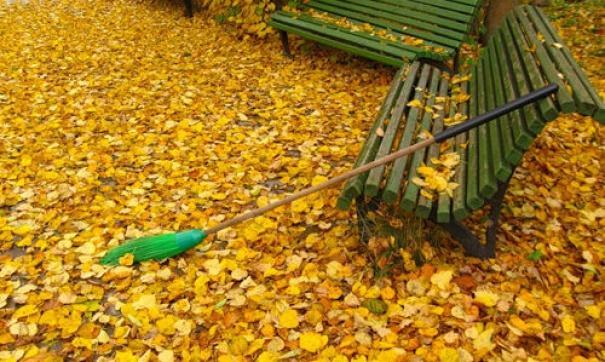 ХИТРАЯ ОСЕНЬ