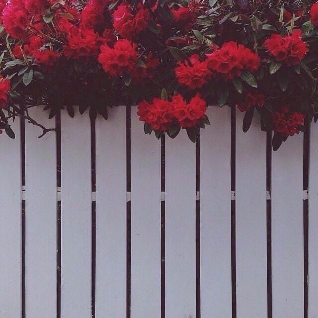 Завянувший.