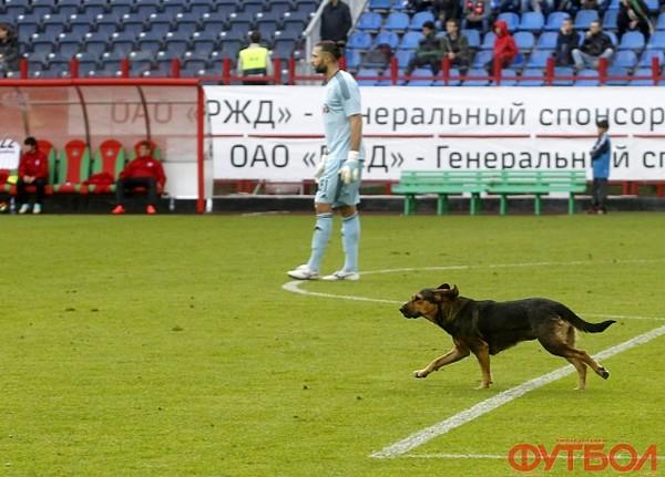 Он украл победу у команды!