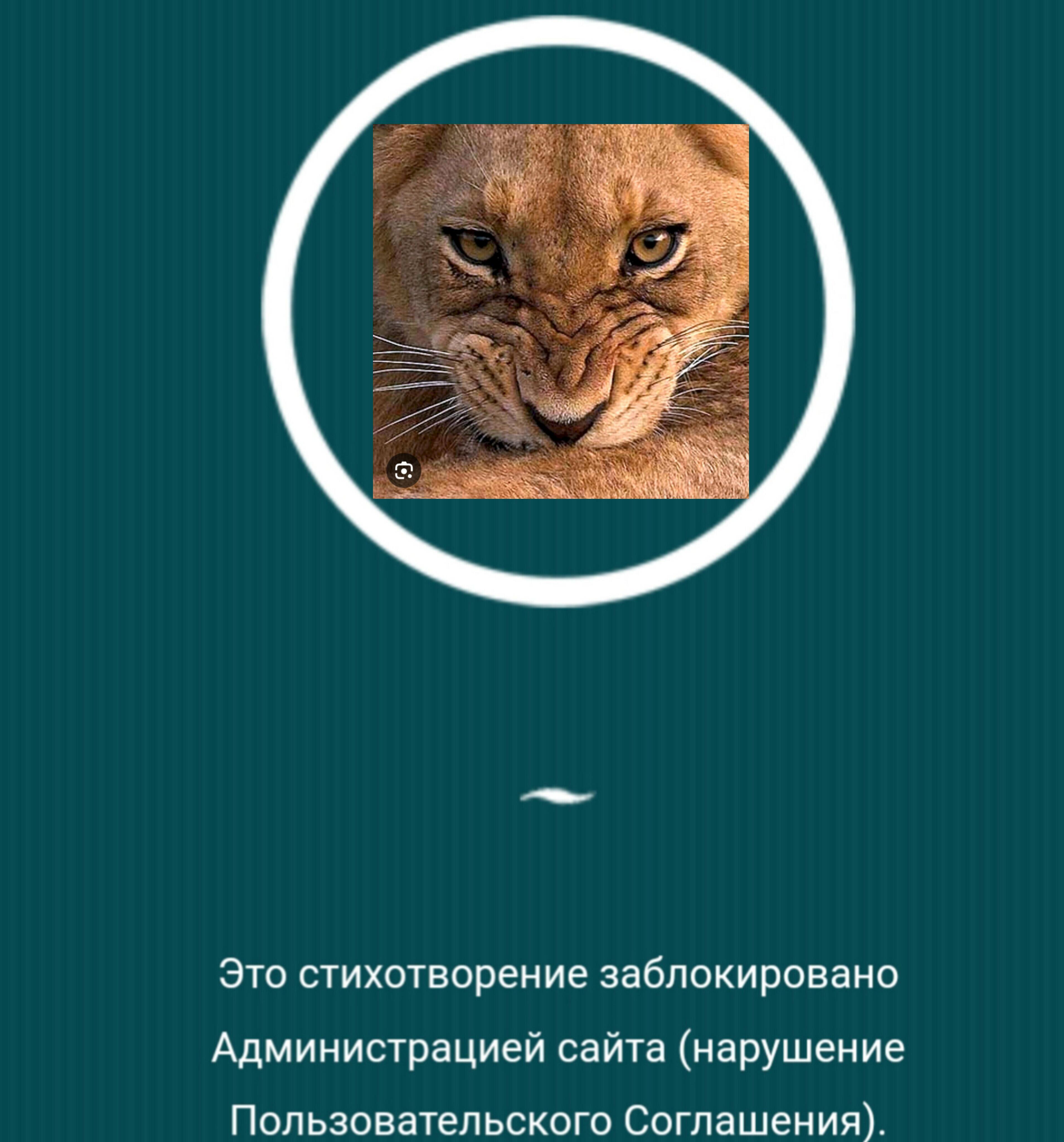 СИНИЙ ЦВЕТ