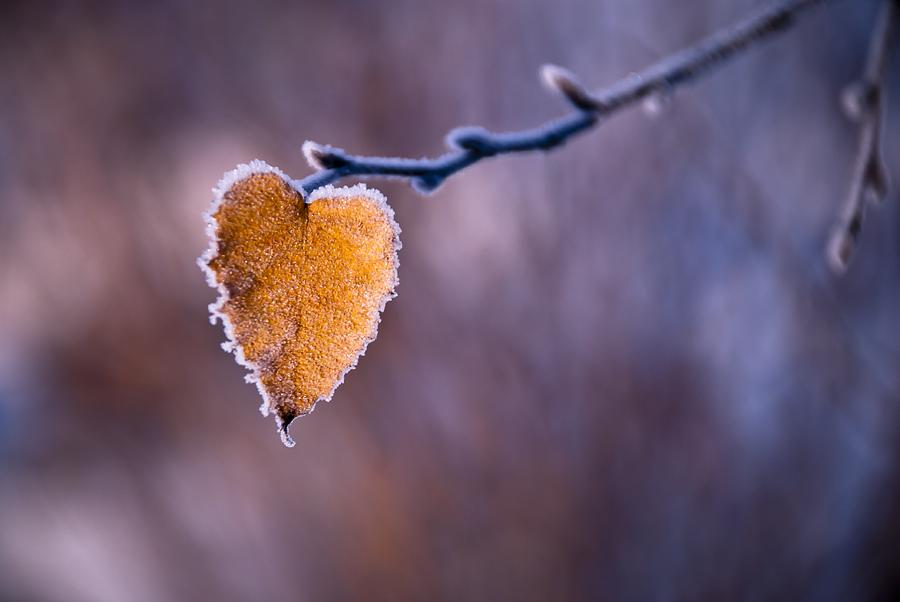Вещи и люди.
