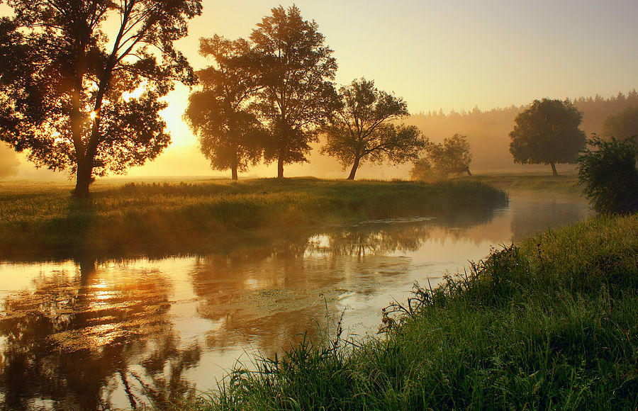 Текут над миром ранние рассветы...