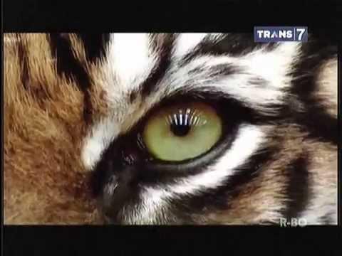 Поговорим по душам!