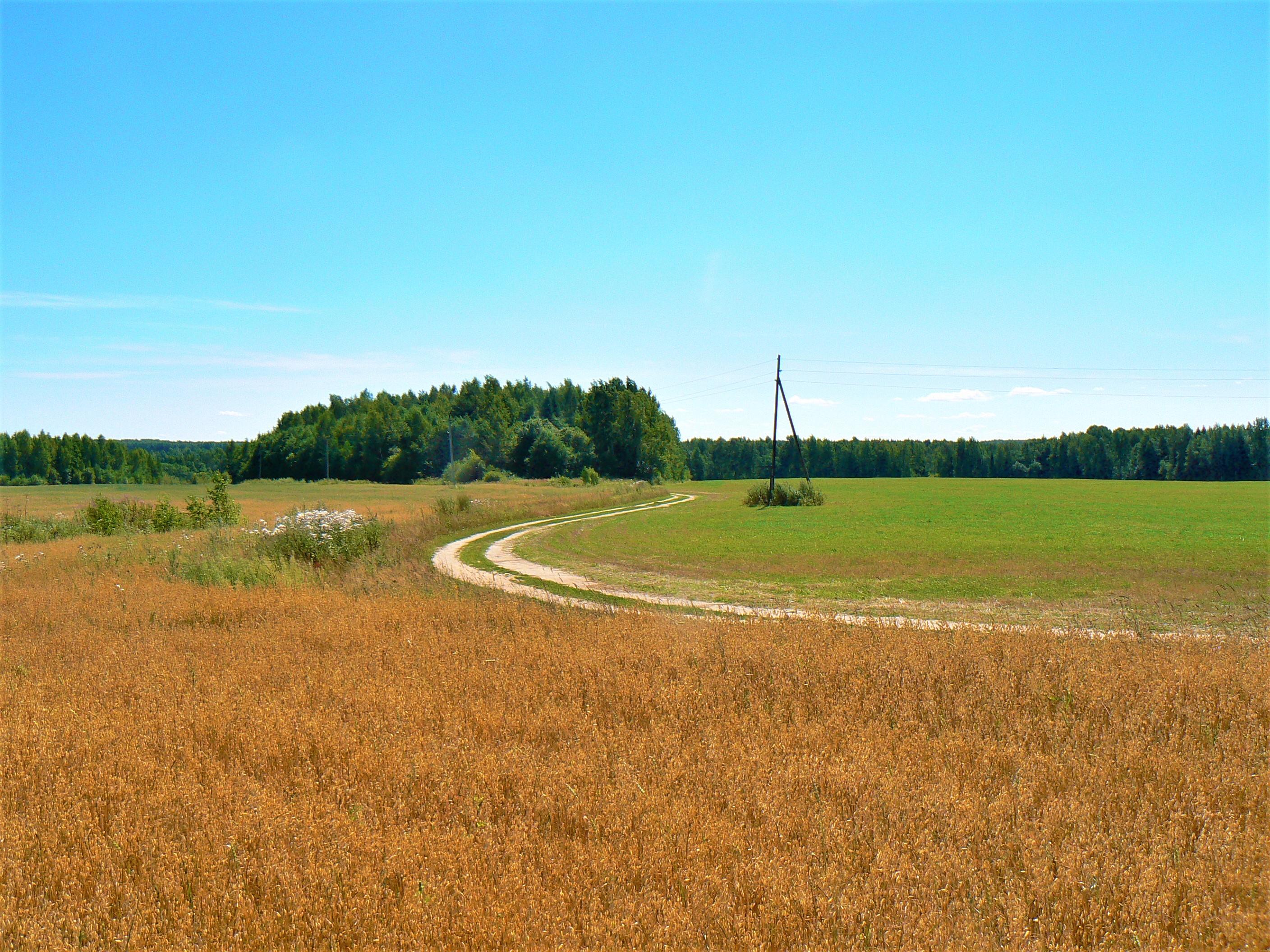 Русская равнина.