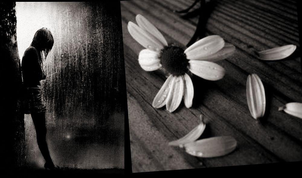 Любит-не любит