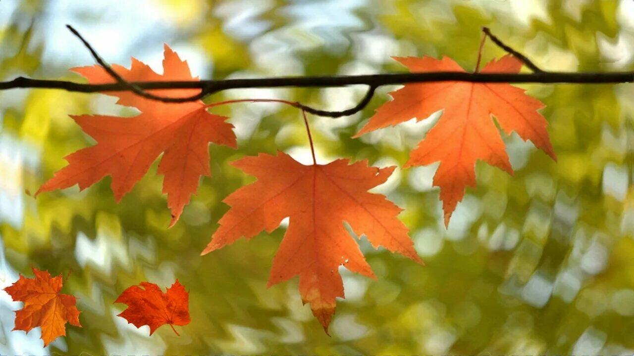 НЕ НАРУШИТСЯ СМЕНА СЕЗОНОВ