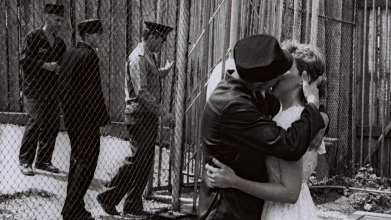 Горчила волчья ягода на вкус