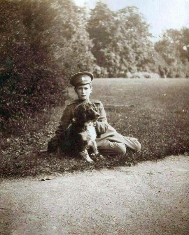 Объявите ВВП сыном цесаревича Алексея