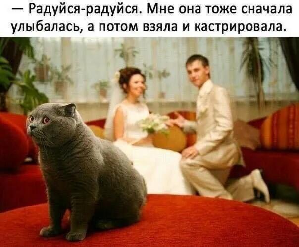 Меня терзают смутные сомнения