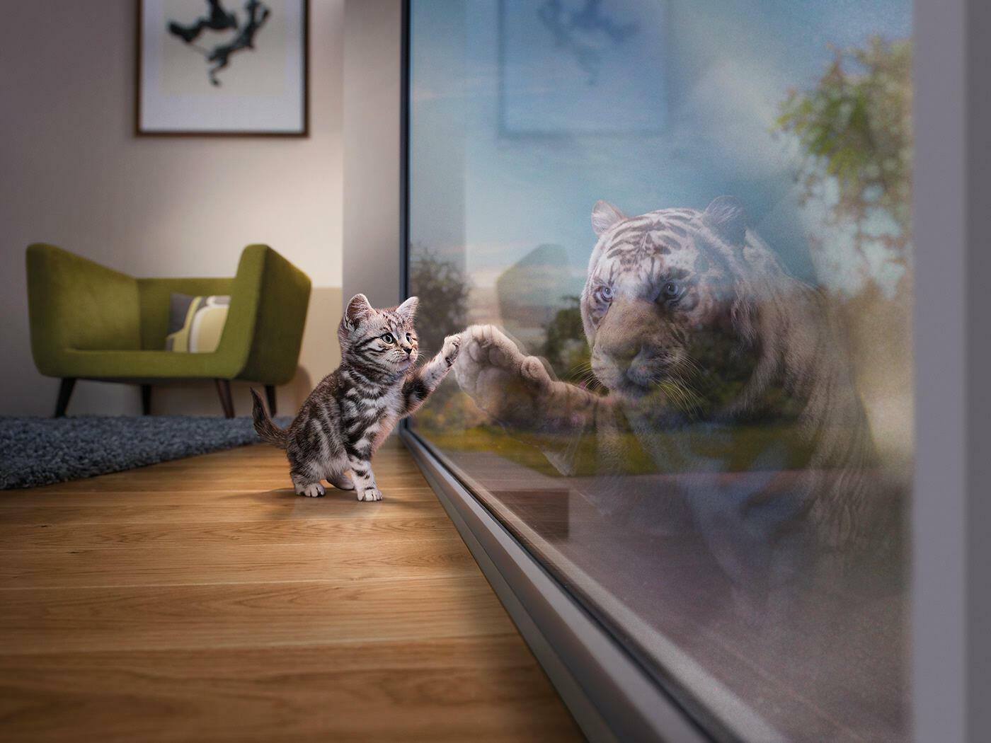 ПОВЕРИТЬ  В  СЕБЯ