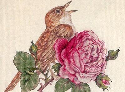 Бабочки волнений