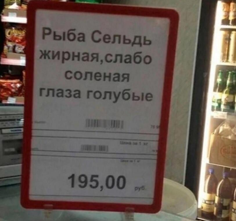 Сельдь голубоглазая