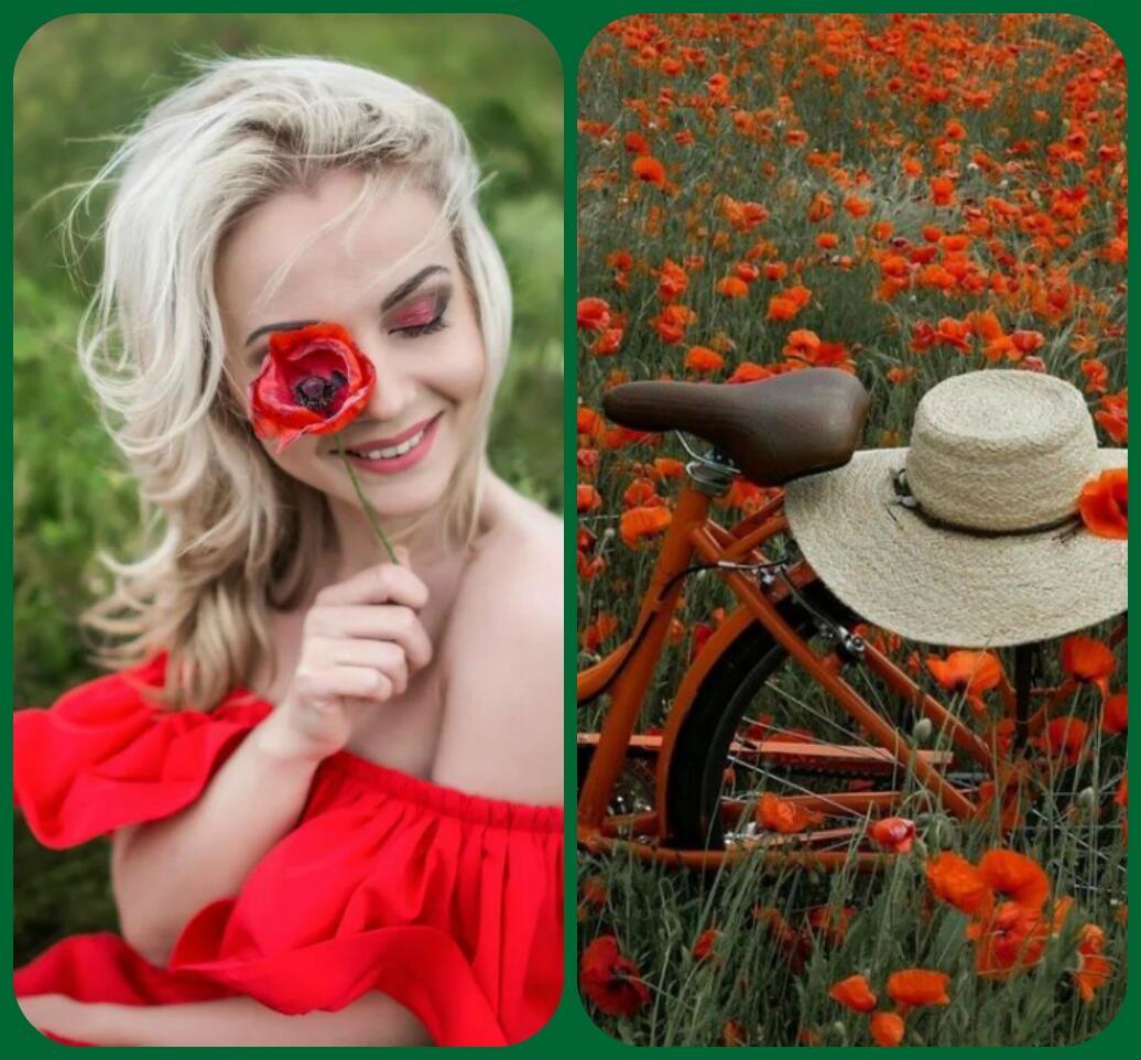 Всё случилось просто таком,