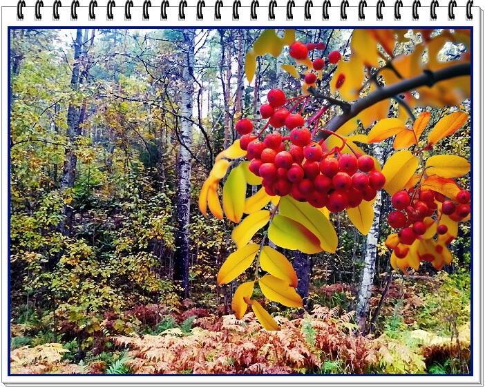 Бродит осень