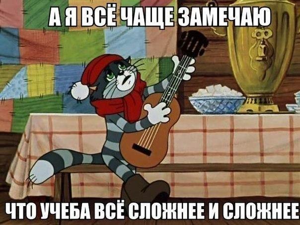 На злобу дня