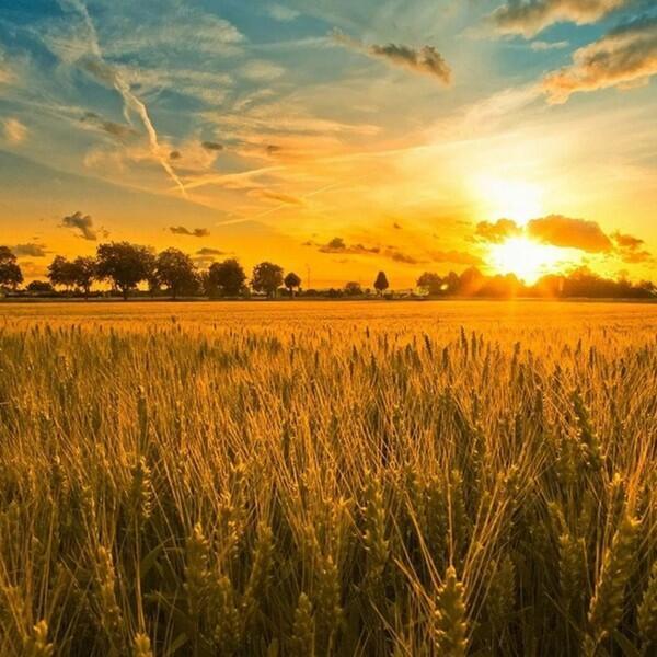 Жизнь прожить – не поле перейти