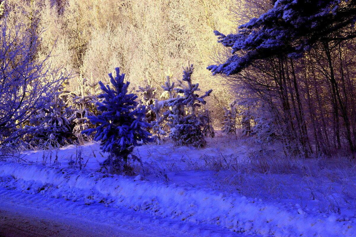 ЗИМА  СКУЧАЛА  У  ДОРОГИ