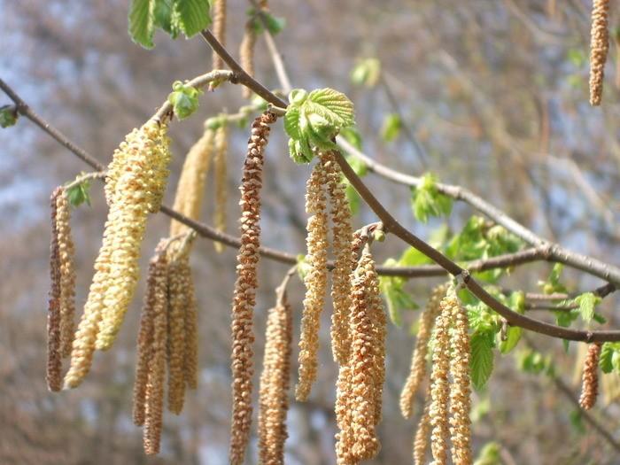 БЫТЬ ПОРА ТЕПЛУ