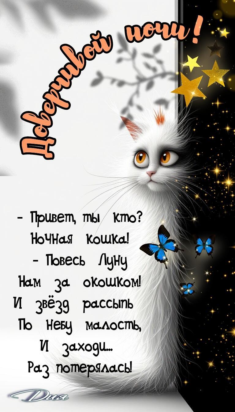 Ночная гостья -  шуточный диалог