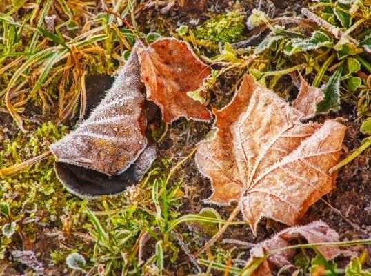 Предчувствие, что скоро всё закончится…