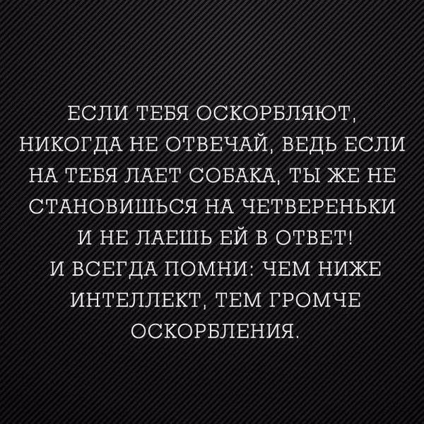 АФОРИЗМЫ ПО ЖИЗНИ ТОСКУЮТ...