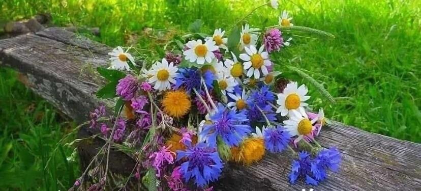 Славлю Тебя!