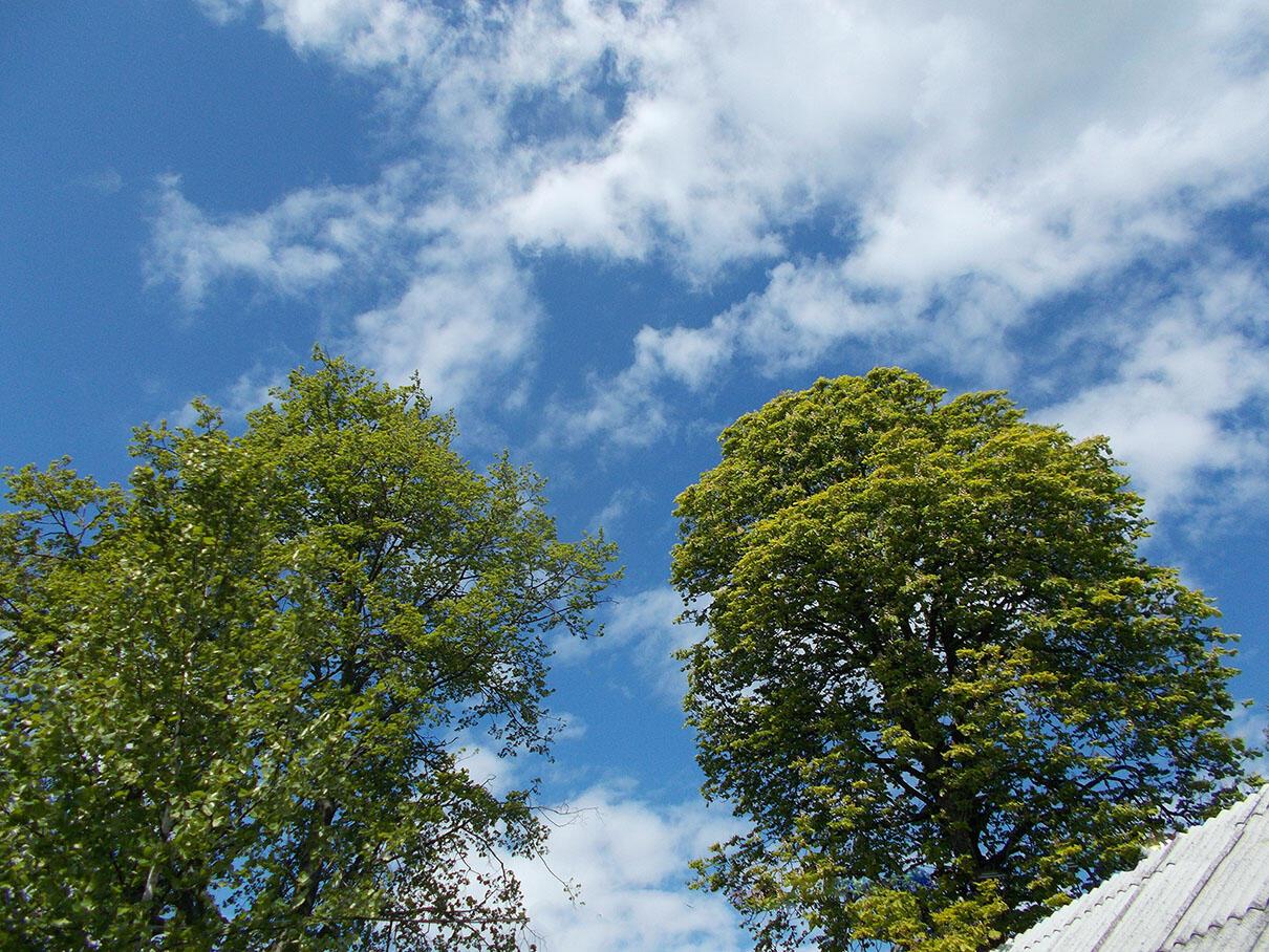 А дэнь усэ быжыть!