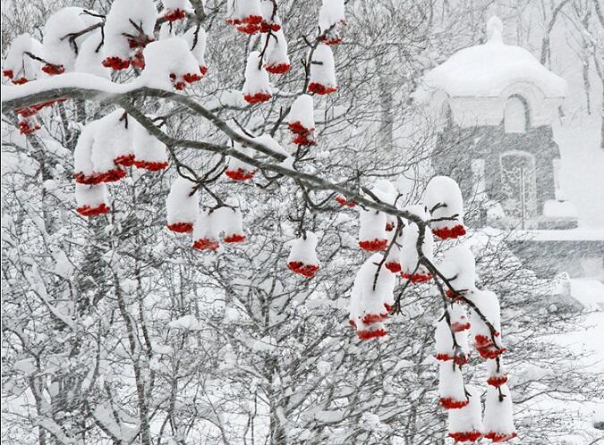 Неразлучны