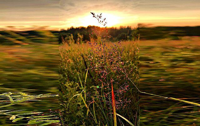 Выгорает август вместе со словами...