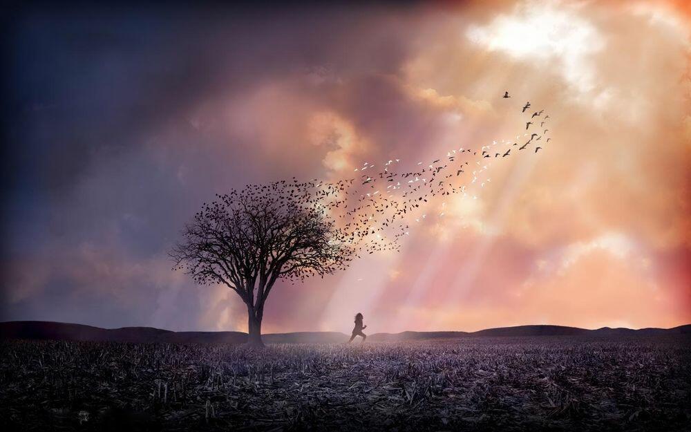 Мой Скрытый Смысл