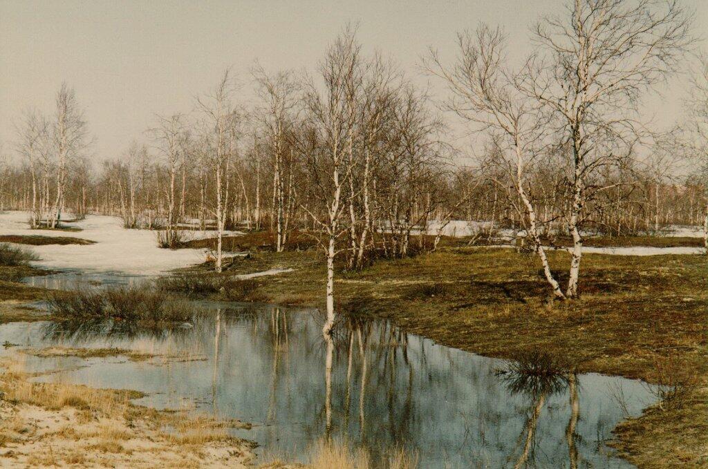 2-17   ТЫ ИДИ КО МНЕ НАВСТРЕЧУ