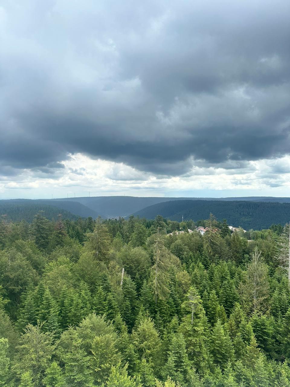 Трансценденция