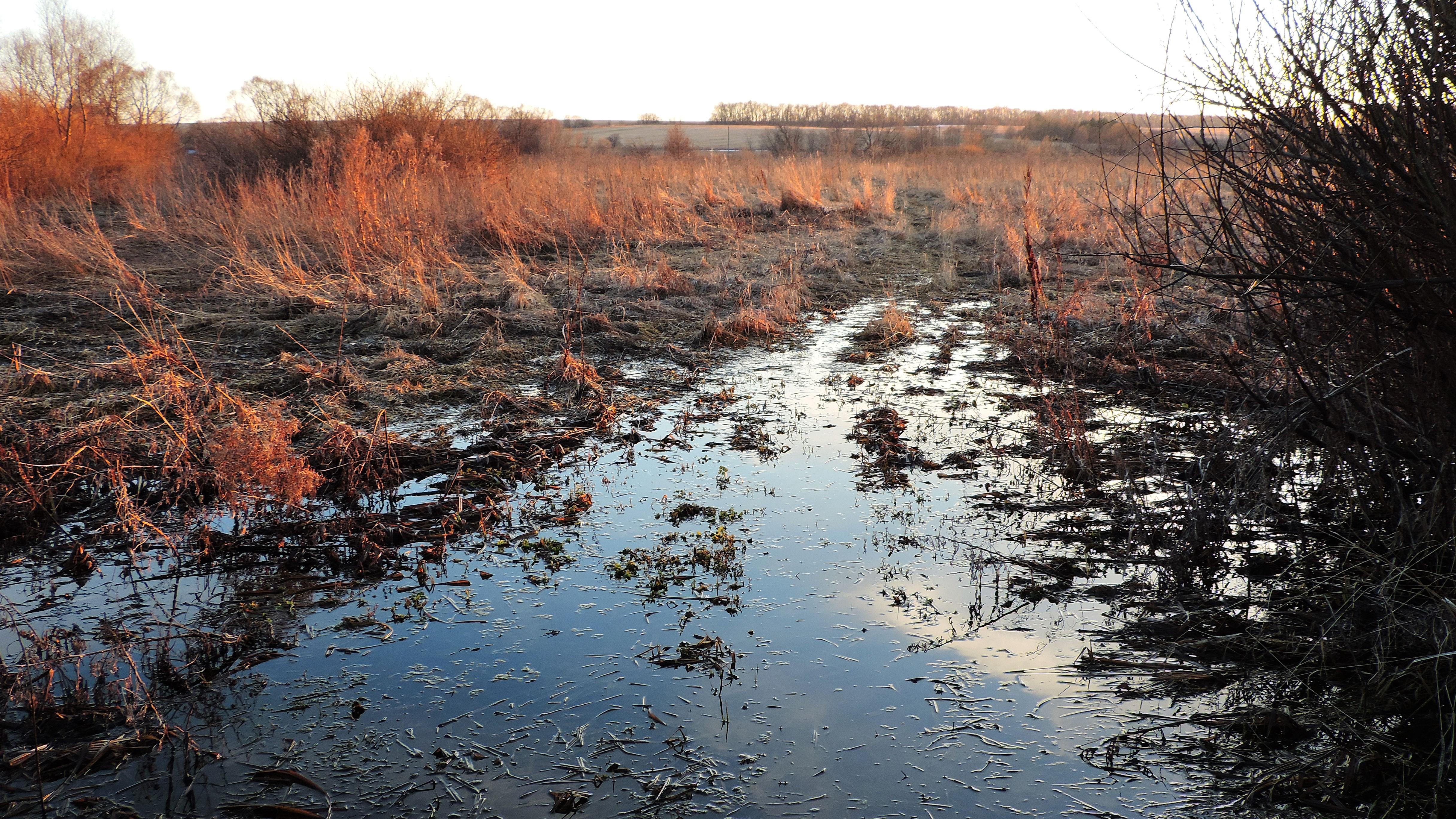 Диафрагму и выдержку