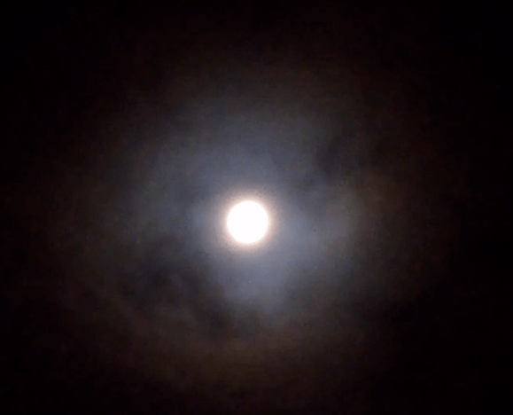 труба похоже пылесосу