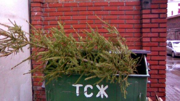 Посленовогоднее