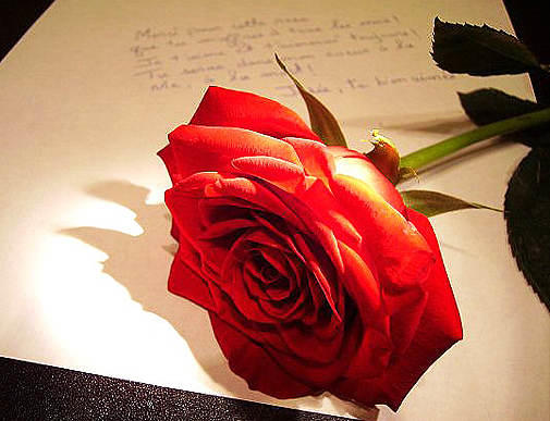 СОЛНЦЕ СВЕТИТ...