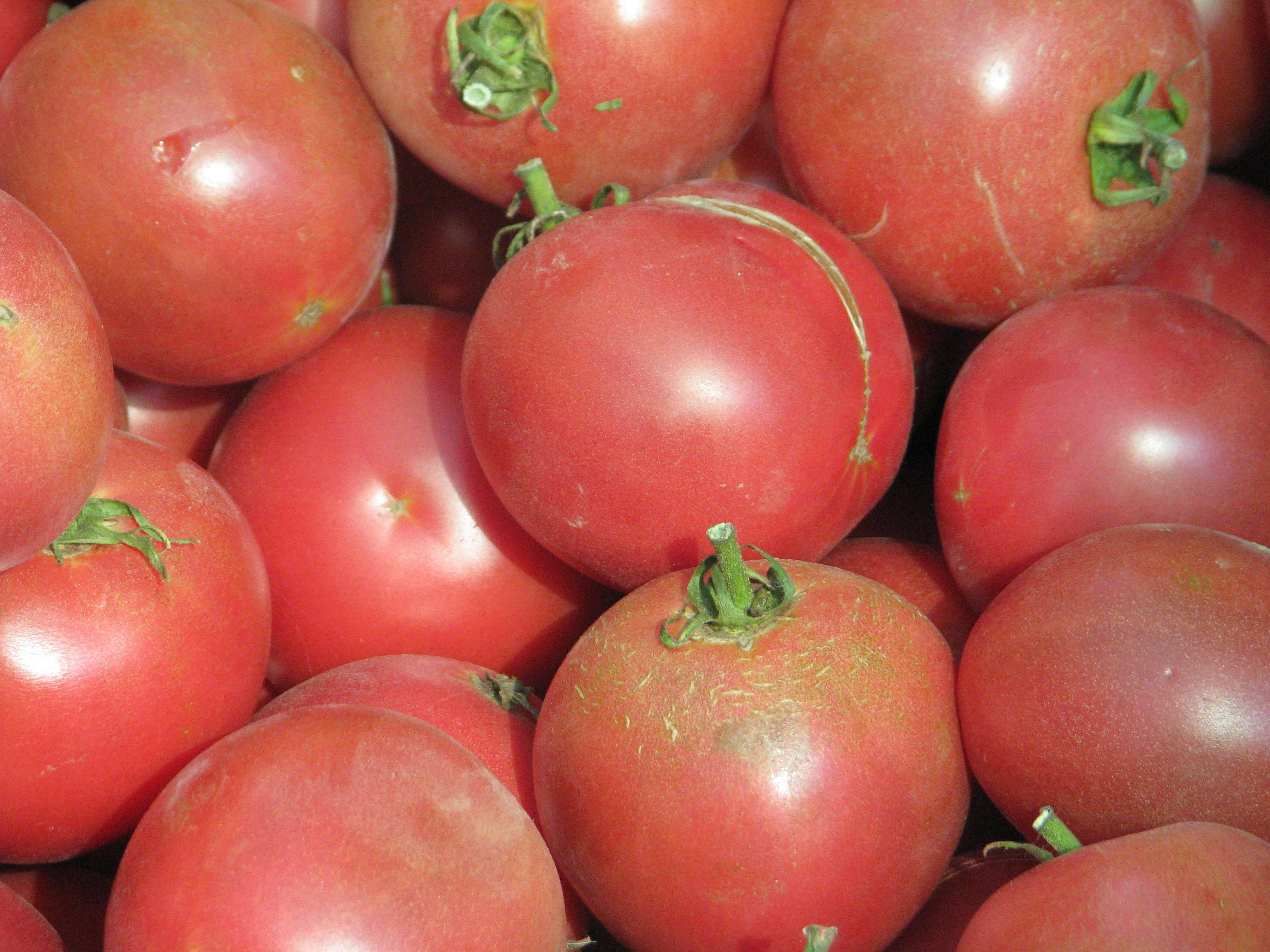 Крымские помидоры
