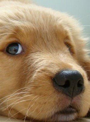 Не уходи, побудь со мной