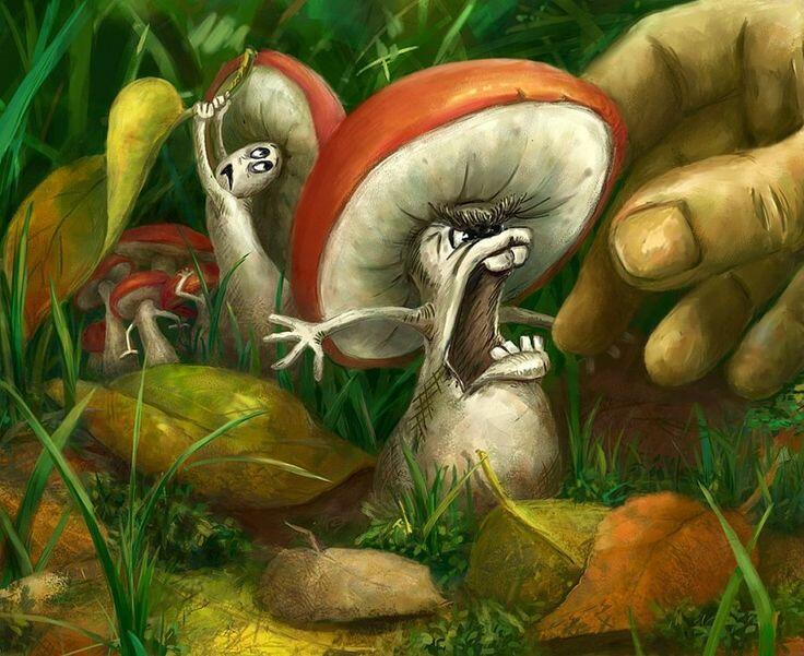 А у них в Рязани - грибы с глазами..