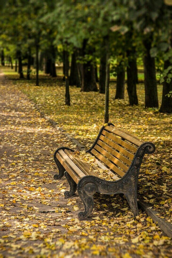 Промчался лист по тротуару