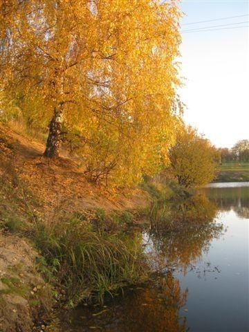 Осенний сонет