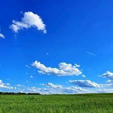 ТО ПЛЮС, ТО МИНУС.