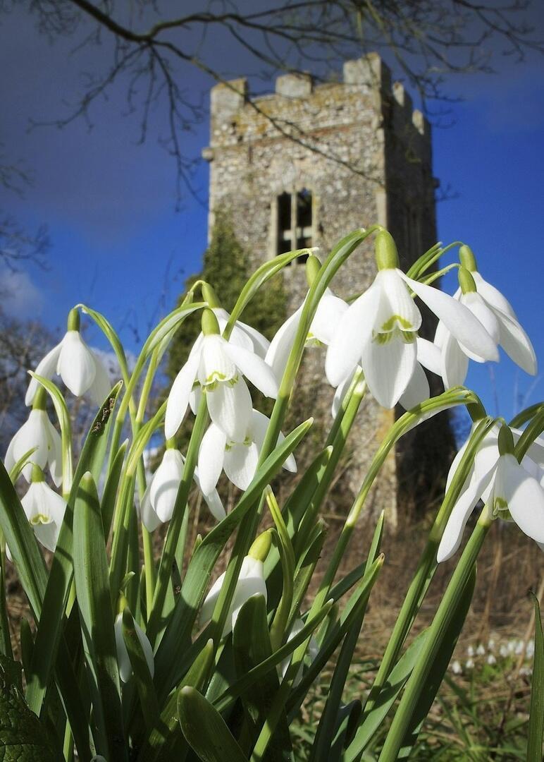 Апрель и Дежавю