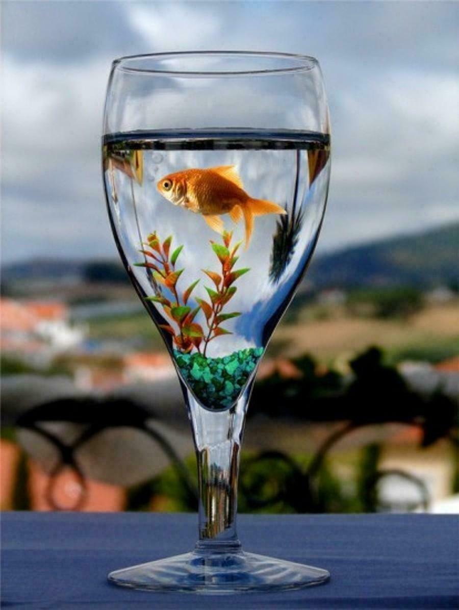 Одностишия - 451-500