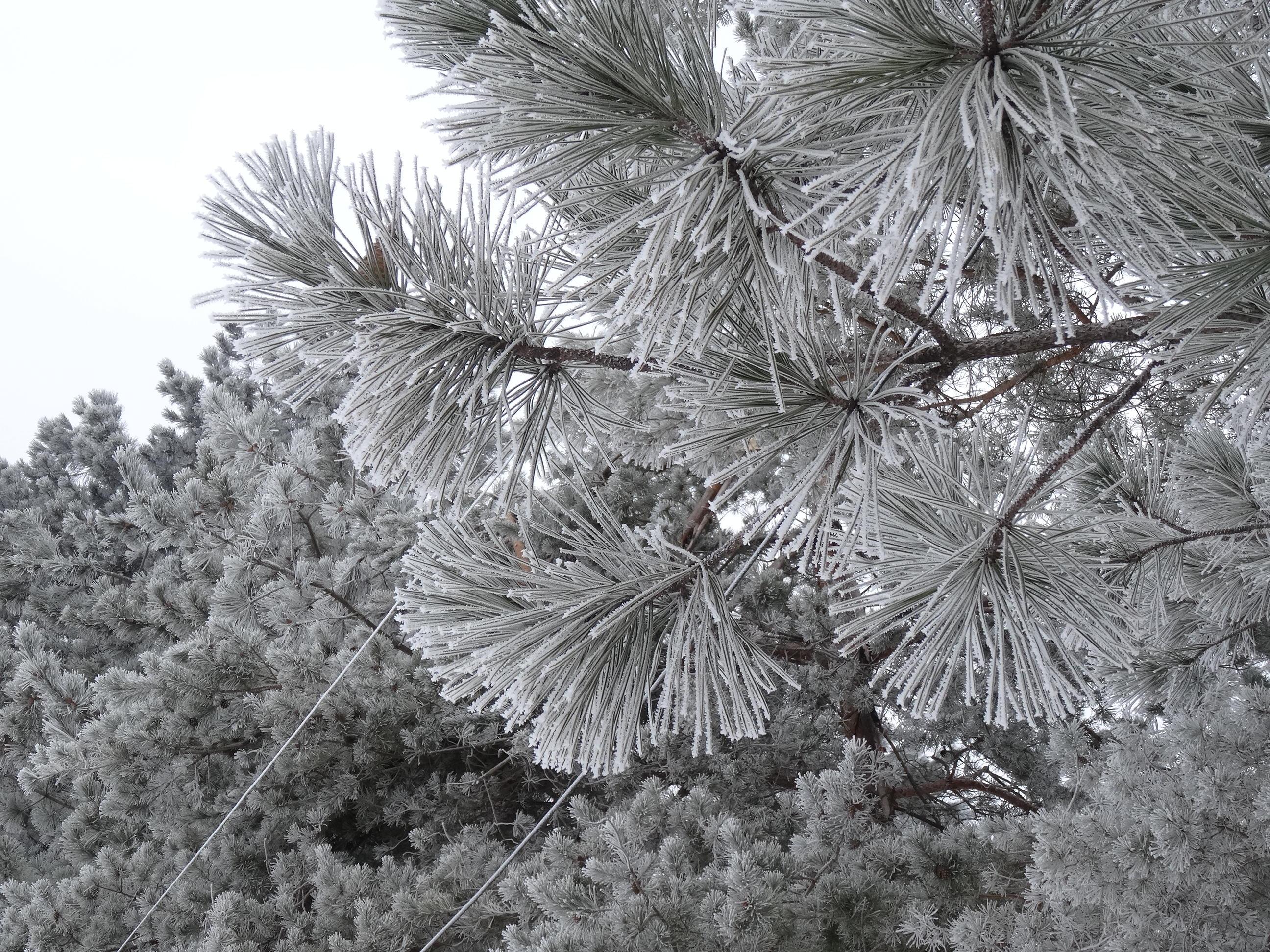 Баллада о недождавшемся друге