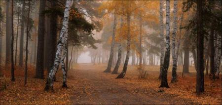 ПРЕДВЕРИЕ ЗИМЫ