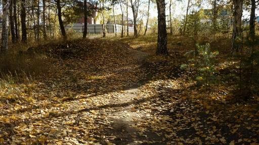 Я по золоту неспешно брожу