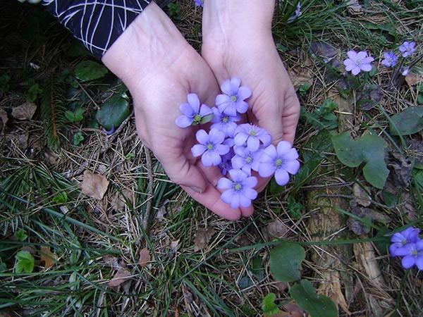 СЕРЕДИНА ВЕСНЫ